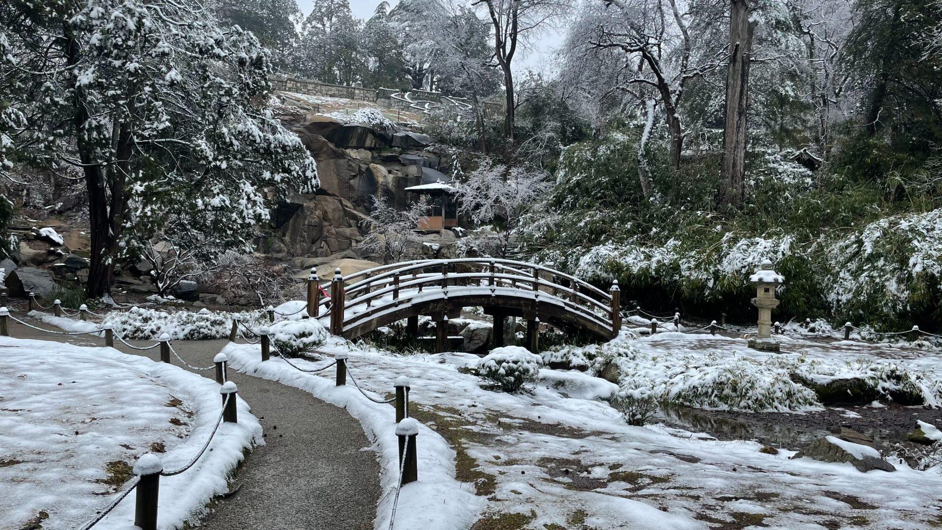 What Happens To Your Plants In The Winter